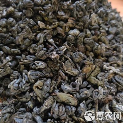 茶农直销 云南西双版纳碧螺春圈绿茶生态茶