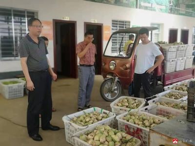 市农业农村局:强化农产品质量安全监测监管 保障群众“舌尖上的安全”