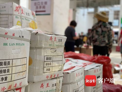 海口市菜篮子江楠农产品批发市场试营业啦 首日超2300吨蔬果进场