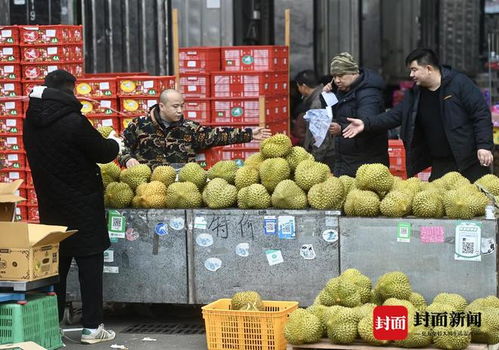 车厘子成年货 顶流 蒜台批发价回落 探访西南最大农产品批发交易市场 新春走基层